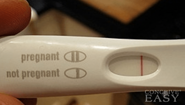 Period While Pregnant Negative Test