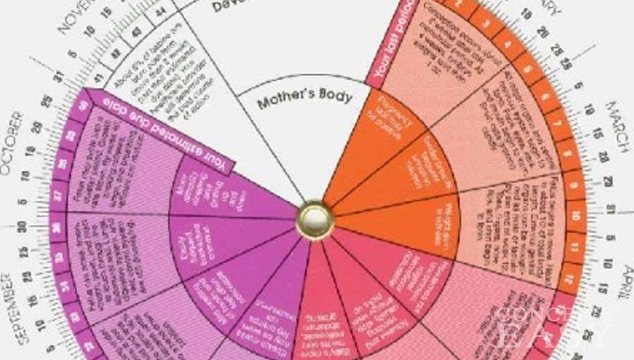 How to count menstruation cycle