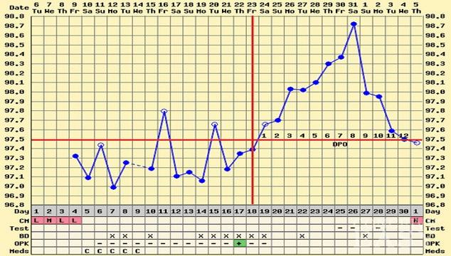 what is a coverline temperature conceiveeasy com pregnancy temp charts