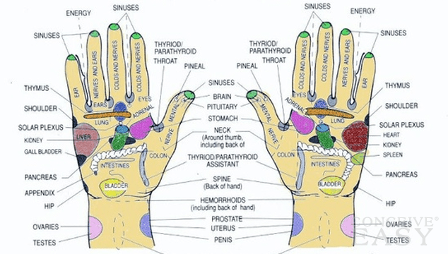 Pregnant Acupressure 43