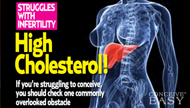 Can high cholesterol affect male fertility