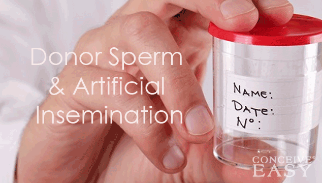 Donor Sperm Artificial Insemination Conceiveeasy
