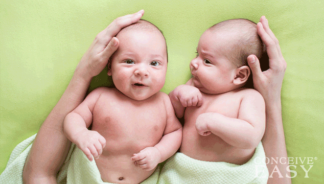 How To Get Pregnant With Twins - ConceiveEasy