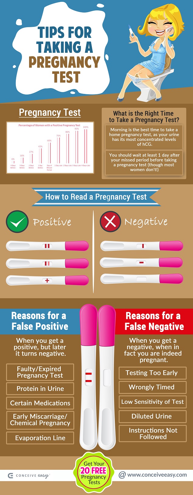 Am I Pregnant? How to Read a Pregnancy Test