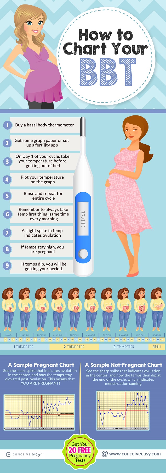 How to Chart Your BBT: Tips and Tricks | ConceiveEasy.com